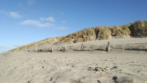 Scenic view of beach against blue sky