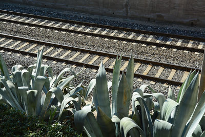 Railroad tracks