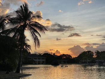 Silhouette palm trees by building against sky during sunset