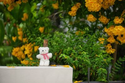 Close-up of statue against plants