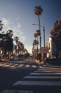 Road by trees in city against sky