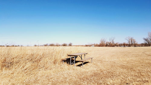 Scenic view of field against clear blue sky