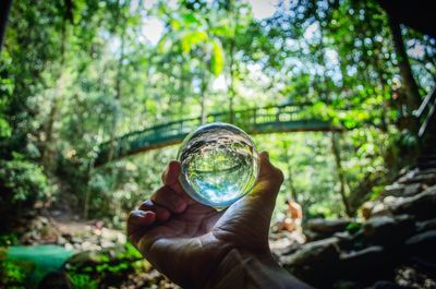 Close-up of hand holding crystal ball in forest