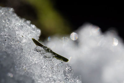 Close-up of water drops on white background