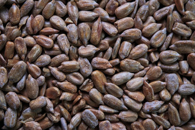 Full frame shot of coffee beans