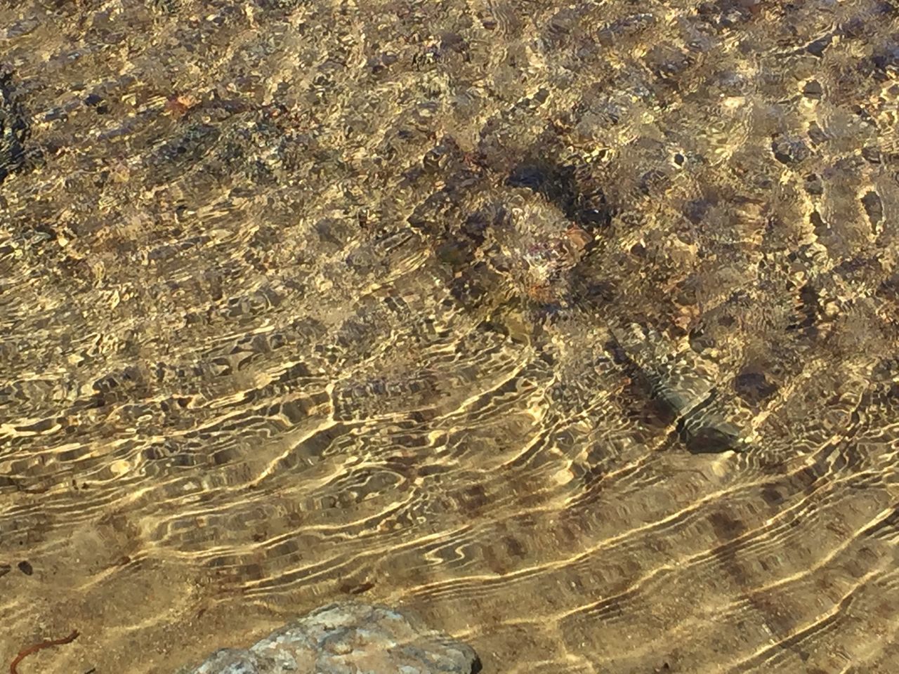 Wet rocks and sand