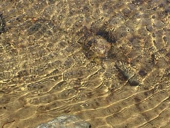 Footprints on beach