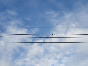 Low angle view of birds perching on cable against sky