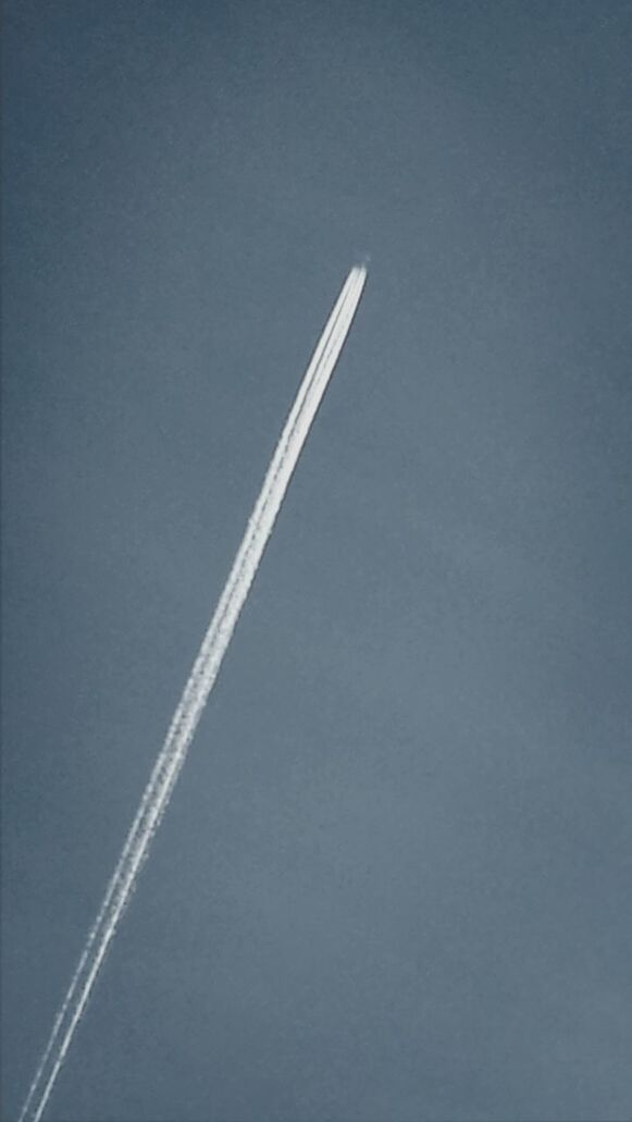 low angle view, blue, copy space, sky, clear sky, transportation, airplane, vapor trail, no people, outdoors, day, nature, air vehicle, part of, white color, flying, tranquility, beauty in nature, mode of transport, journey