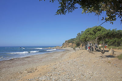 People on beach against clear blue sky