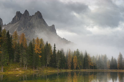 Scenic view of lake by trees against sky