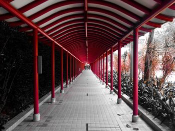 Red corridor in building