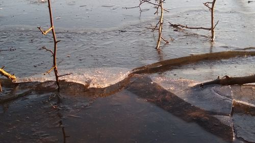High angle view of puddle on lake