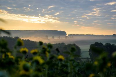 Scenic view of field against sky at sunset