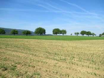 Scenic view of field against sky