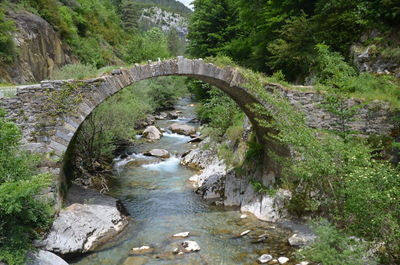 Arch bridge over river in forest