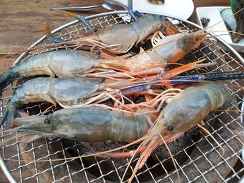 Close-up of prawns