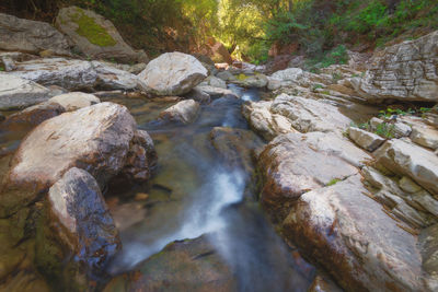 Stream flowing through rocks in forest