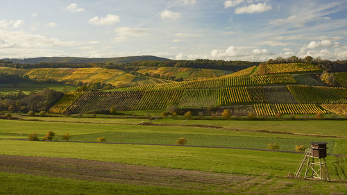 Sunny autumn afternoon in moselle valley. view over the wine hills.