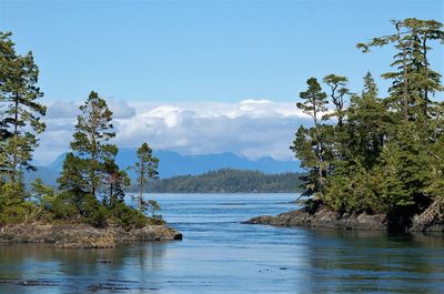 Scenic view of lake in front of mountains against blue sky