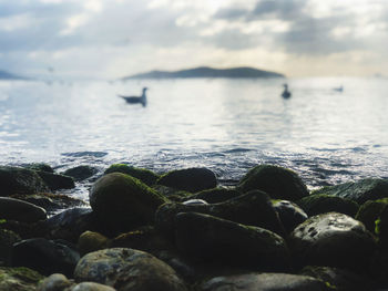 Rocks in sea against sky