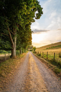 Rural country road on the swedish west coast during golden sunset. selective focus.