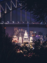 Illuminated ferris wheel against sky at night