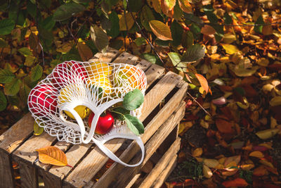 Fruits on in bag during autumn