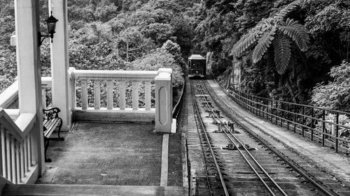 High angle view of railroad tracks amidst trees