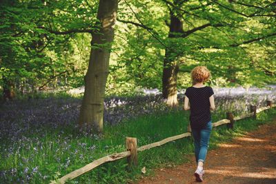 Rear view full length of woman walking by trees at park