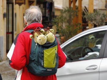 Rear view of senior man wearing bag with toy animals