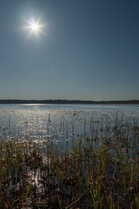 Scenic view of lake against clear sky