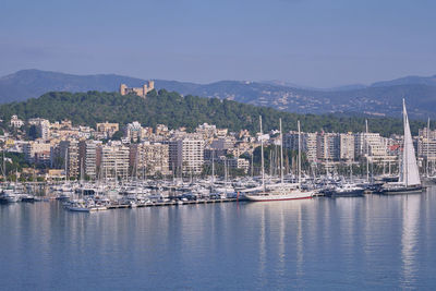 Sailboats moored in harbor