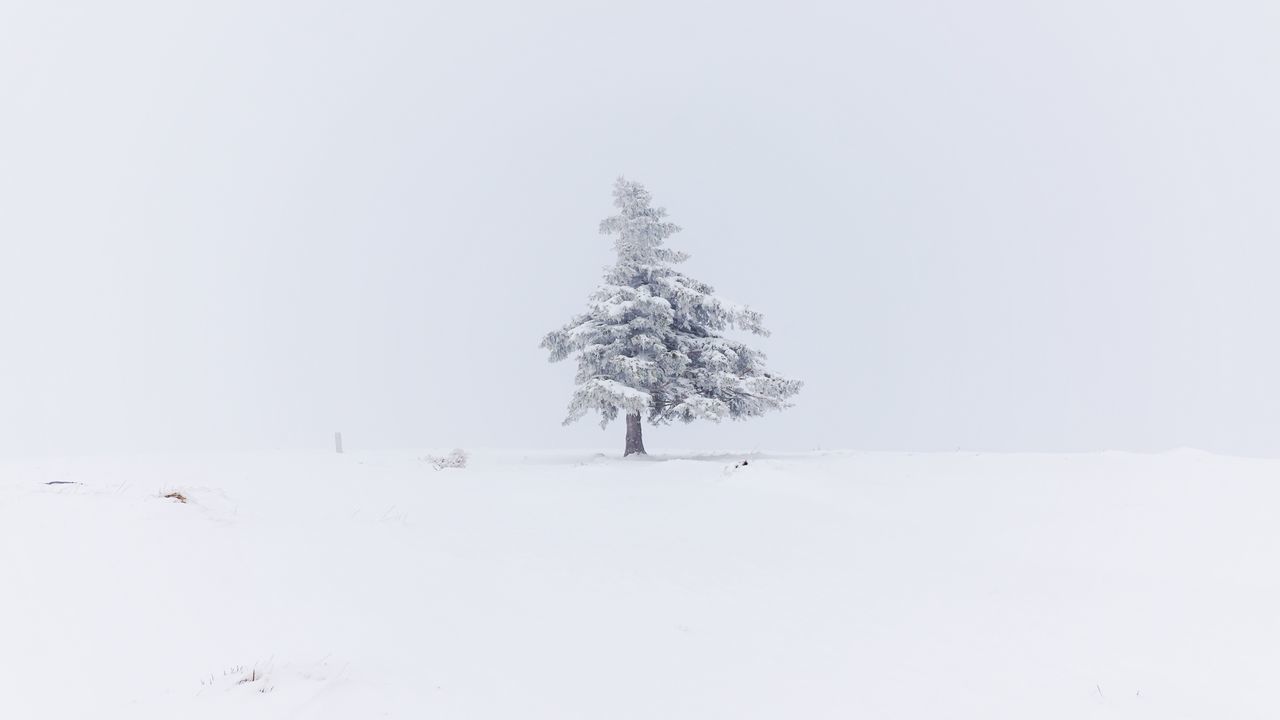 TREE ON SNOW COVERED FIELD AGAINST CLEAR SKY