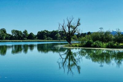 Scenic view of lake against clear blue sky