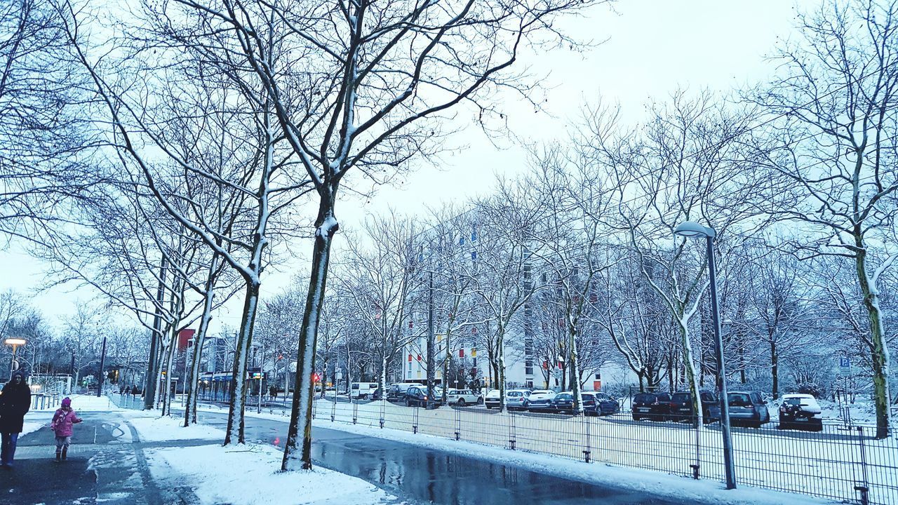 BARE TREES ON SNOW COVERED CITY