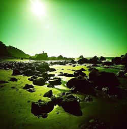 Scenic view of green landscape against clear sky