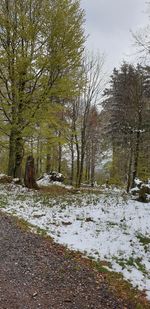 Trees growing on field during winter against sky