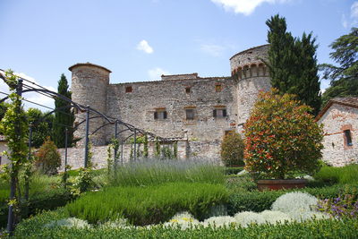 Plants and old building against sky