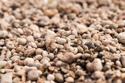 Full frame shot of coffee beans