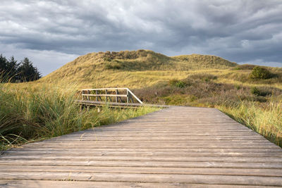 Panoramic image of the coastal landscape of amrum, north sea, germany