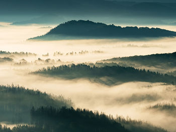 Fog flowing over forest mountains. misty mountain landscape hills after rainy night. idyllic valley