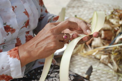 Close-up of hand holding flowering plant