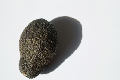 Close-up of cactus against clear sky