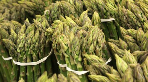 Background of many green asparagus for sale