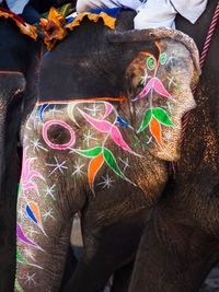 Painted elephant