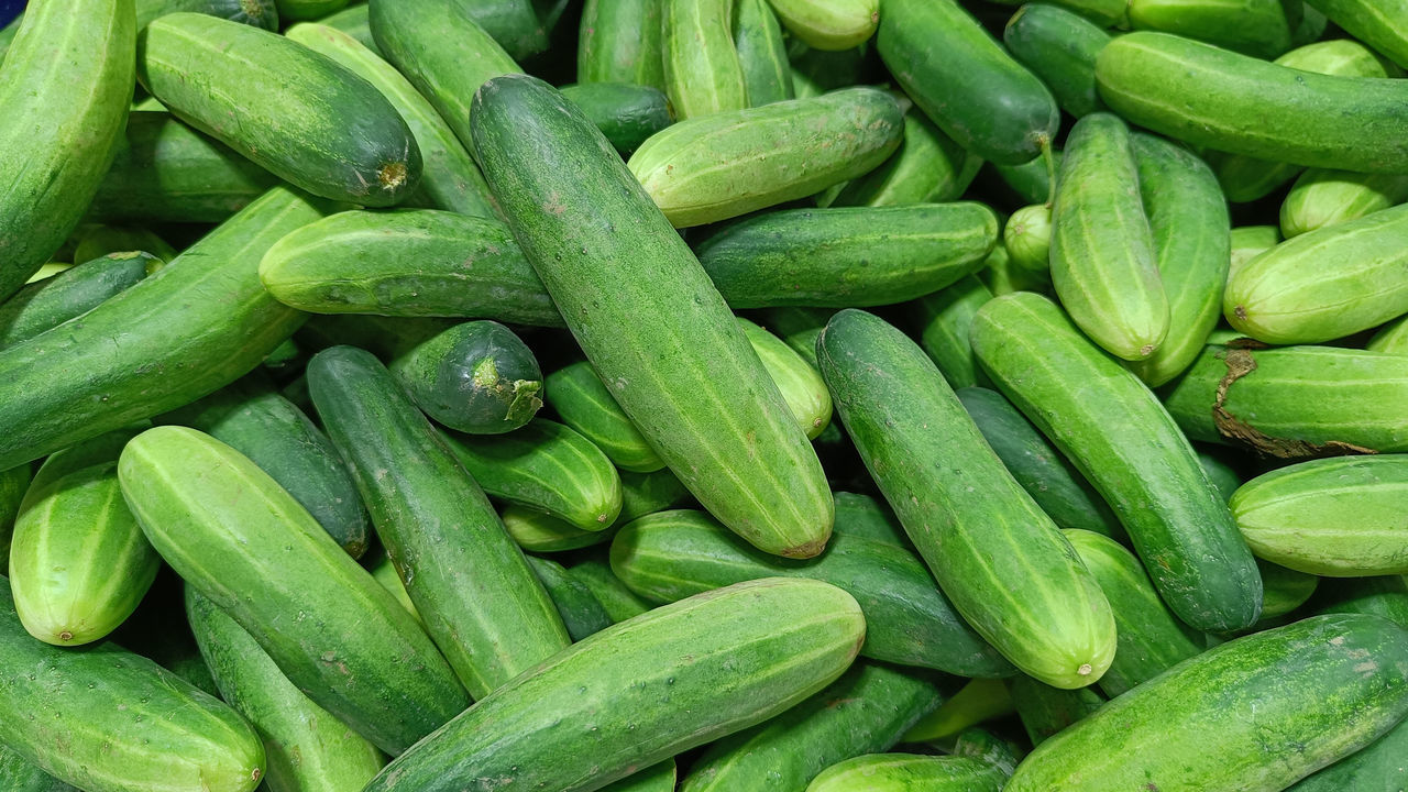 green, food and drink, zucchini, food, cucumber, plant, freshness, vegetable, summer squash, healthy eating, wellbeing, produce, backgrounds, large group of objects, full frame, no people, gherkin, abundance, market, retail, environmental conservation, organic, raw food, close-up, nature, gourd