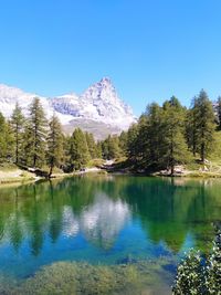 Scenic view of lake by trees against clear blue sky