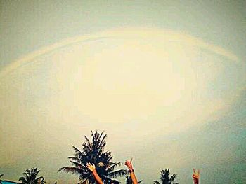 Palm trees against sky