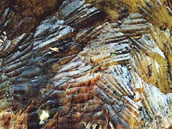 Full frame shot of water surface